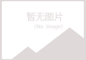 临河字迹金属有限公司